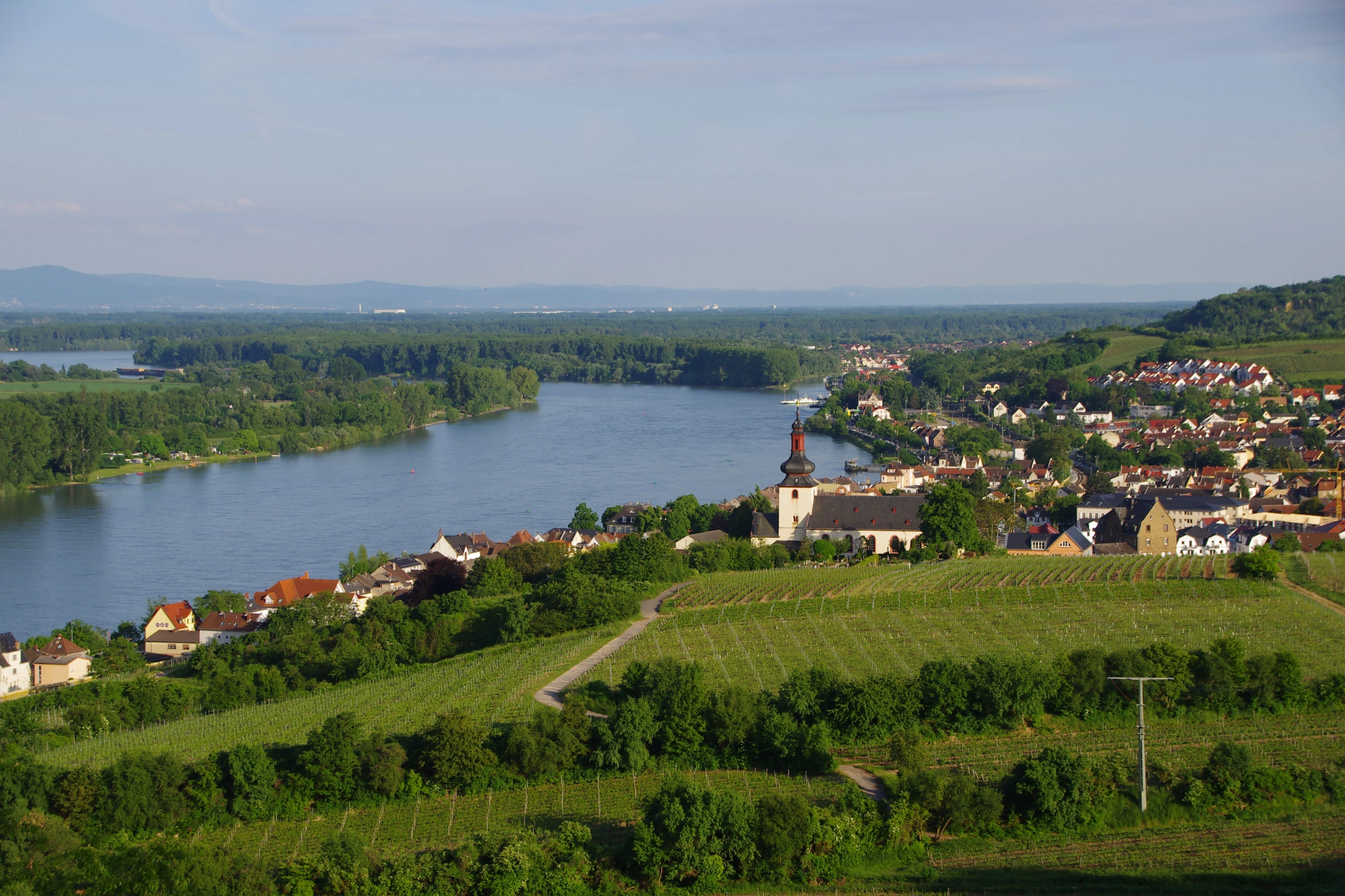 Nierstein[1].webp